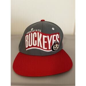 OHIO STATE BUCKEYES‎ Spellout Wool Blend Hat Cap ZEPHYR Snapback OSU READ